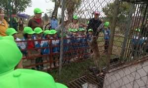 Trẻ tham quan khu sở thú tại khu du lịch Linh Kỳ Mộc do trường MN Quảng Châu tổ chức